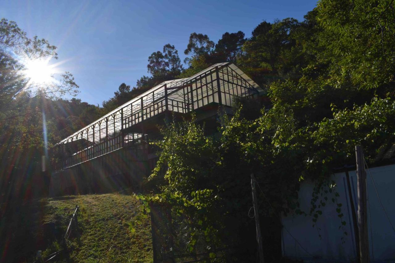 Drop-Inn Nature, Relax And Hike Ponte da Barca Exterior foto